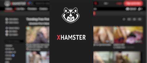 freeporn hamster|xHamster.com